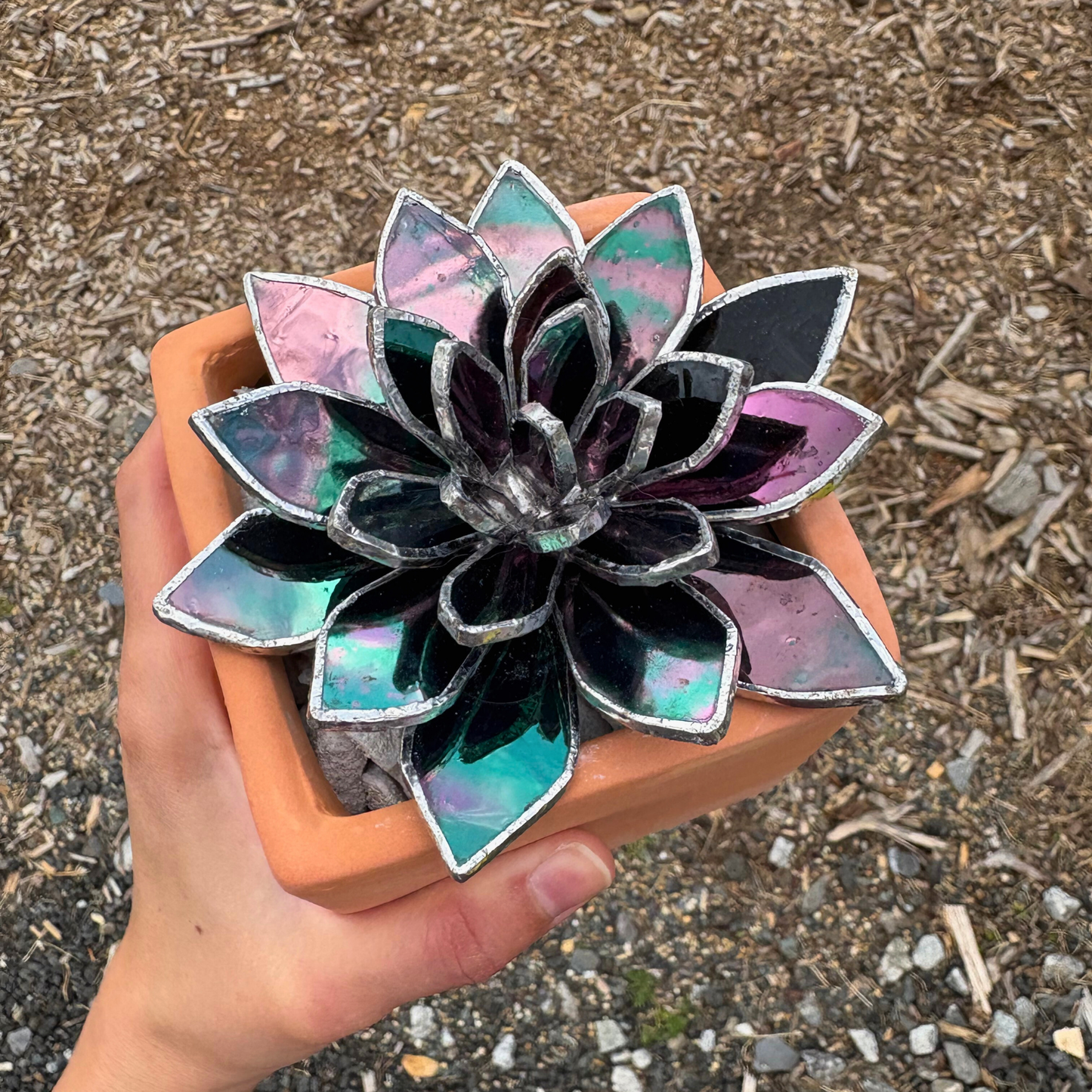 Stained Glass Succulent 4.5" Wide