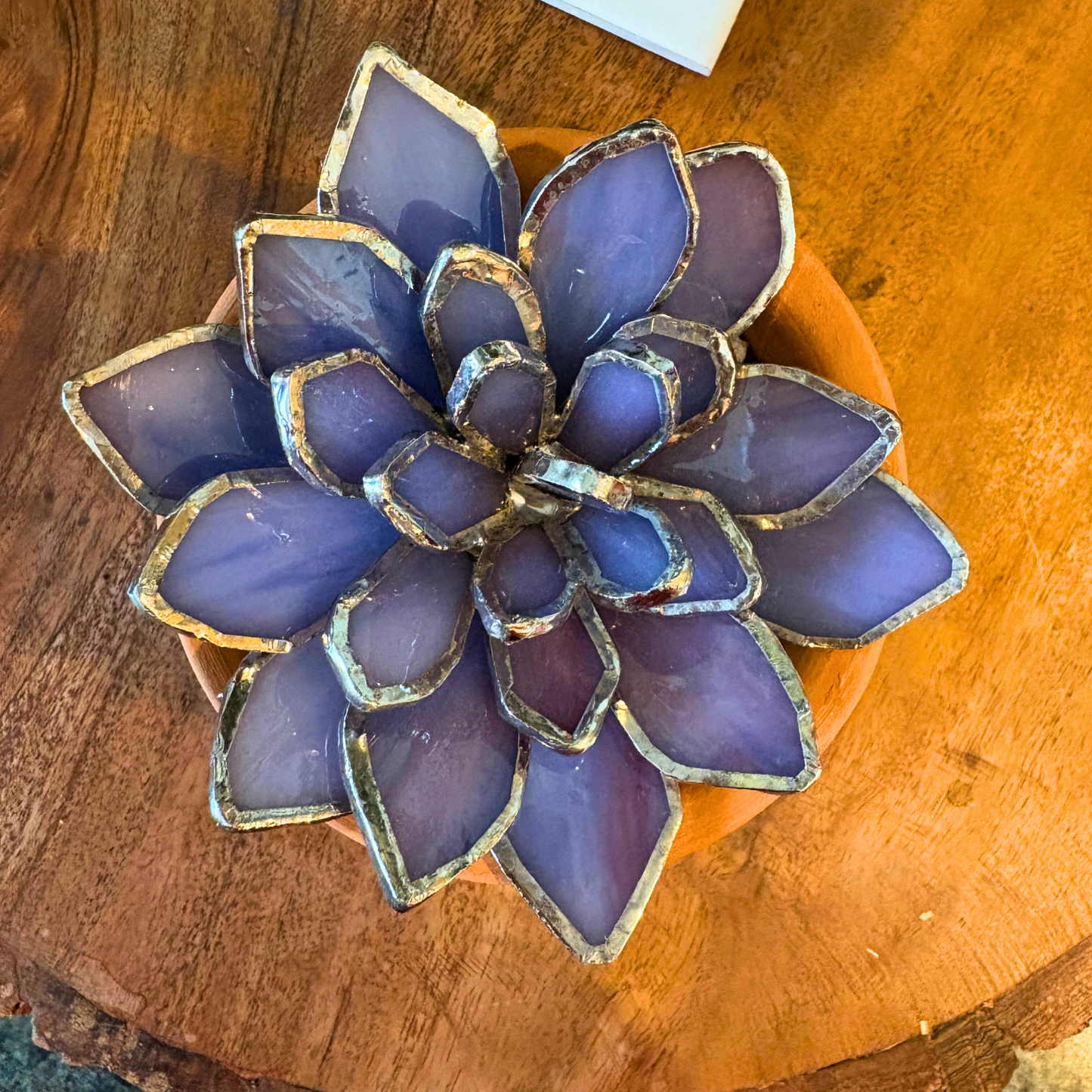 Stained Glass Succulent 4.5" Wide