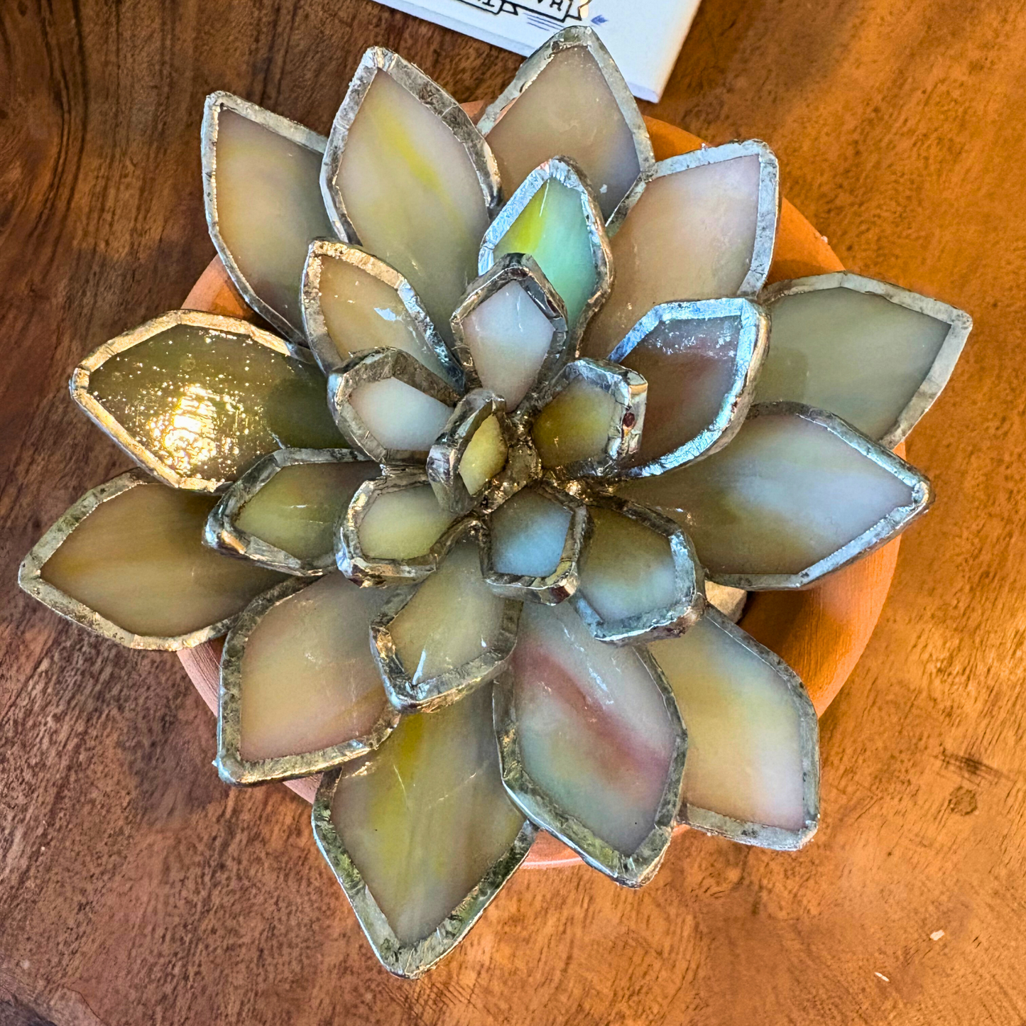 Stained Glass Succulent 4.5" Wide