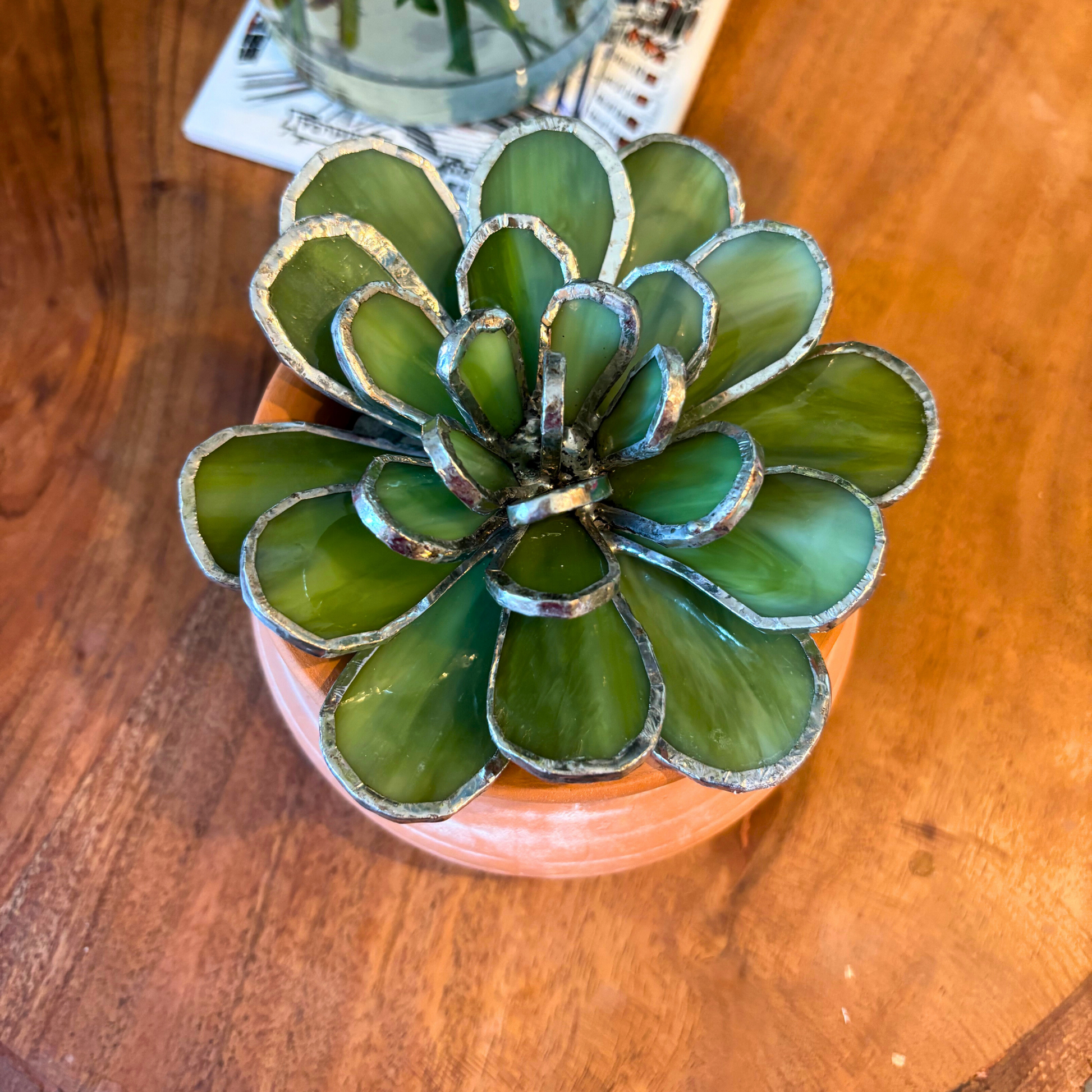 everlasting stained glass succulents Stained Glass Succulent 4.5" Wide – Gina the Botina