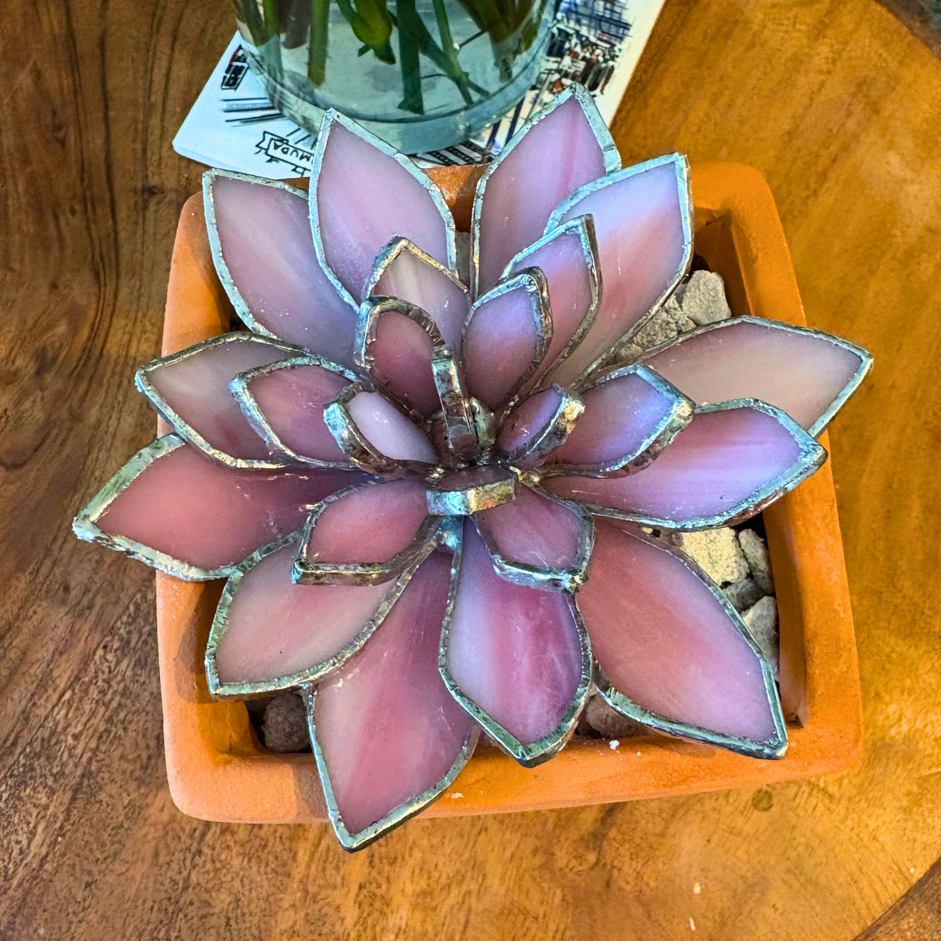 Stained Glass Succulent 4.5" Wide  Gina the Botina